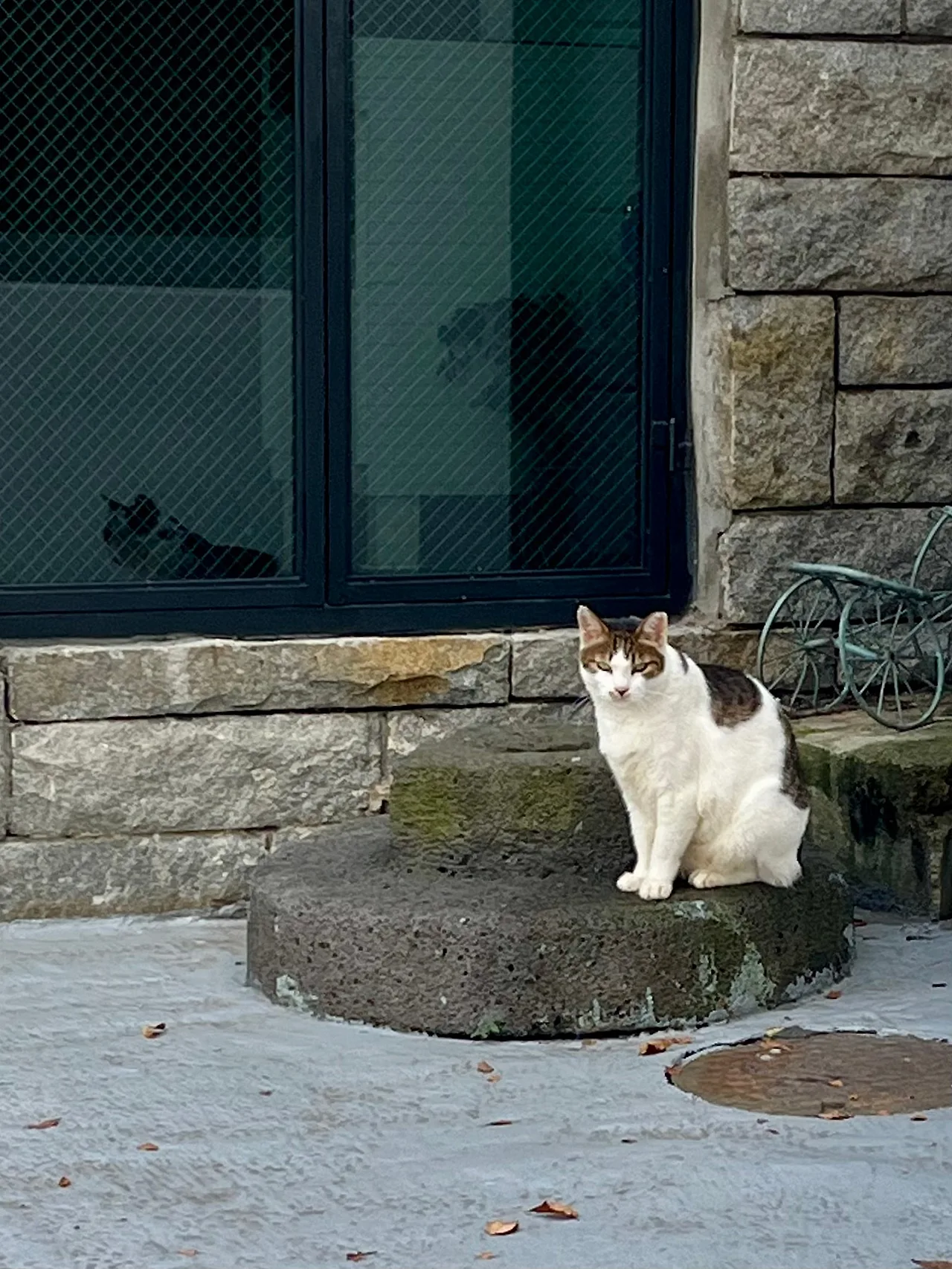 IMG%EF%BC%BF2316.jpg?type=w1600