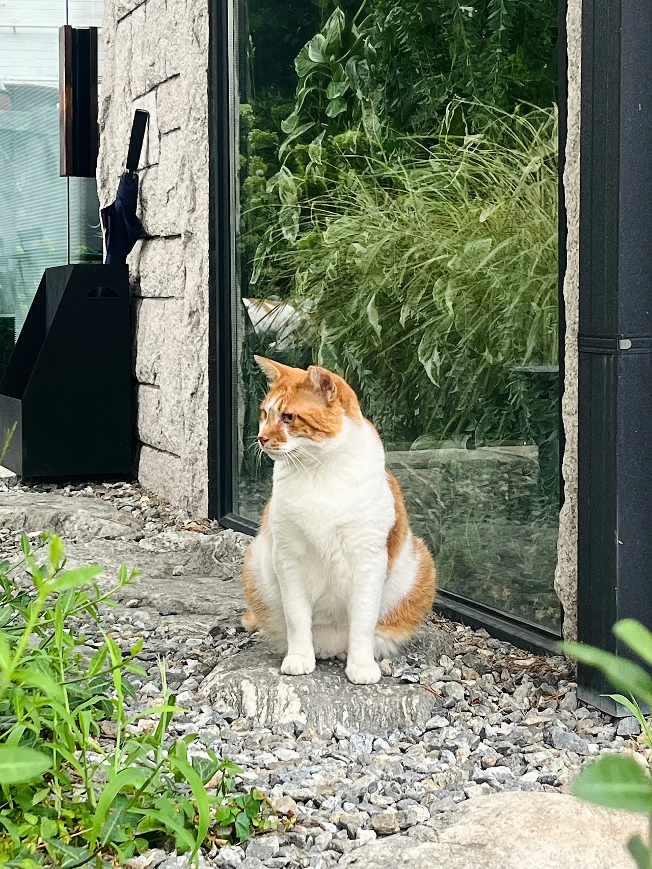 IMG%EF%BC%BF0668.jpg?type=w1600