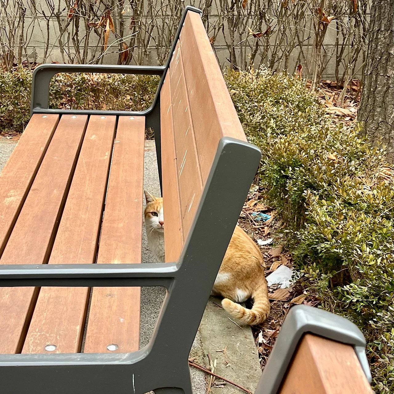 SE-0249F8D5-A3B2-4705-9184-05160A2A3739.jpg?type=w1600