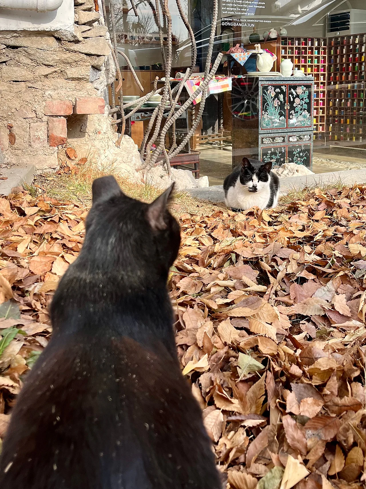 IMG%EF%BC%BF9228.jpg?type=w1600