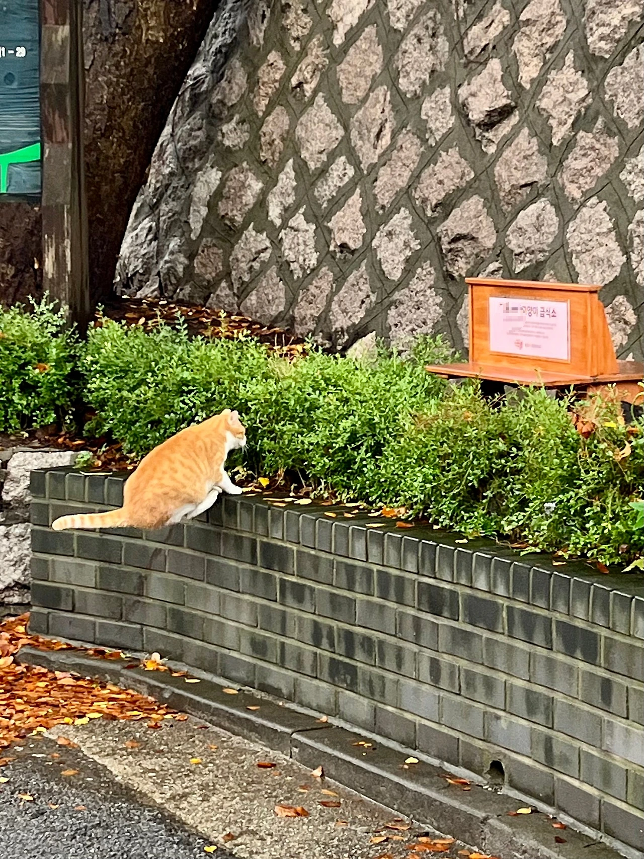 IMG%EF%BC%BF3102.jpg?type=w1600