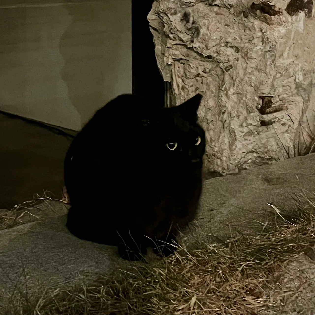 IMG%EF%BC%BF9648.jpg?type=w1600