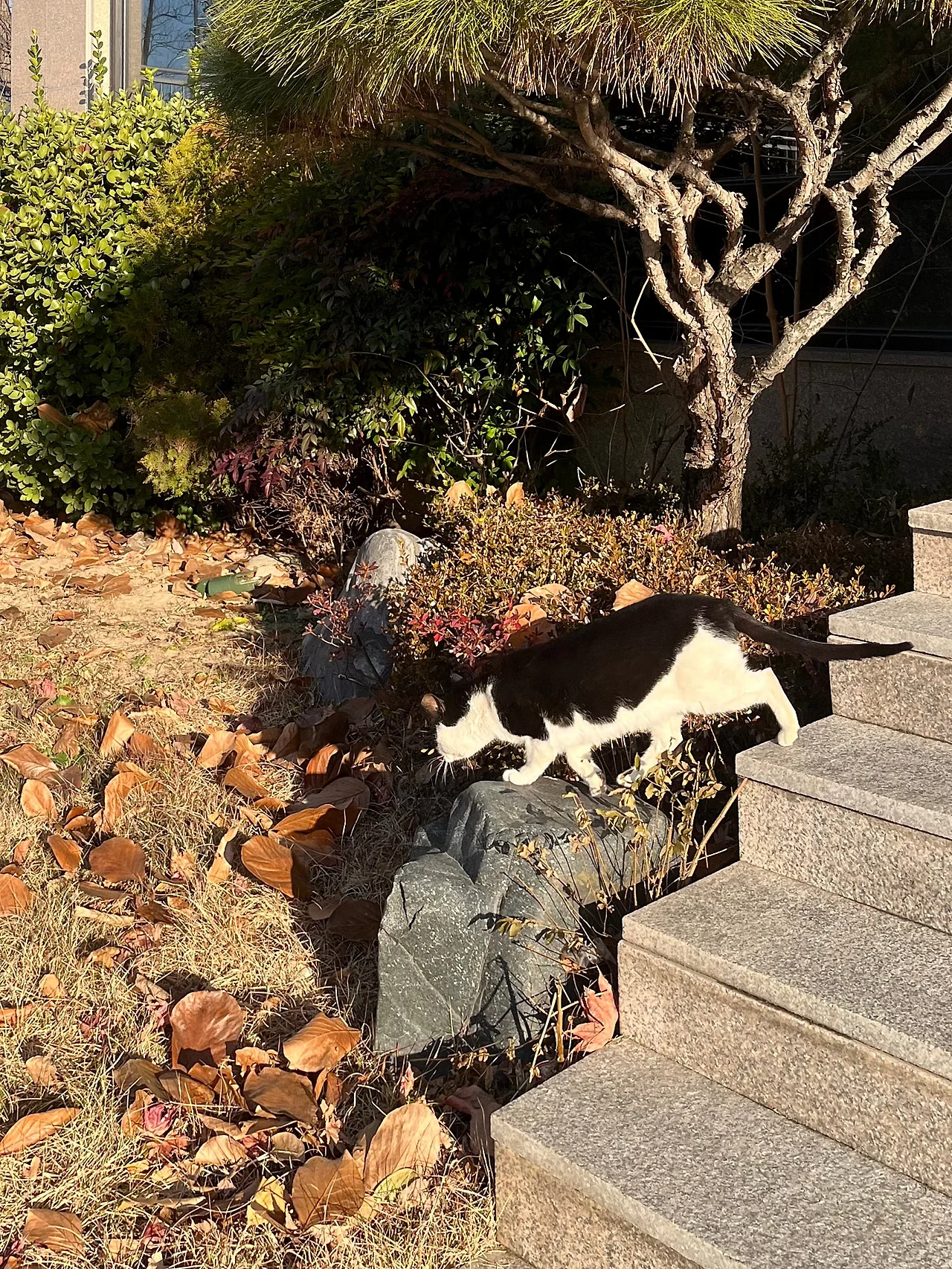 IMG%EF%BC%BF8933.jpg?type=w1600