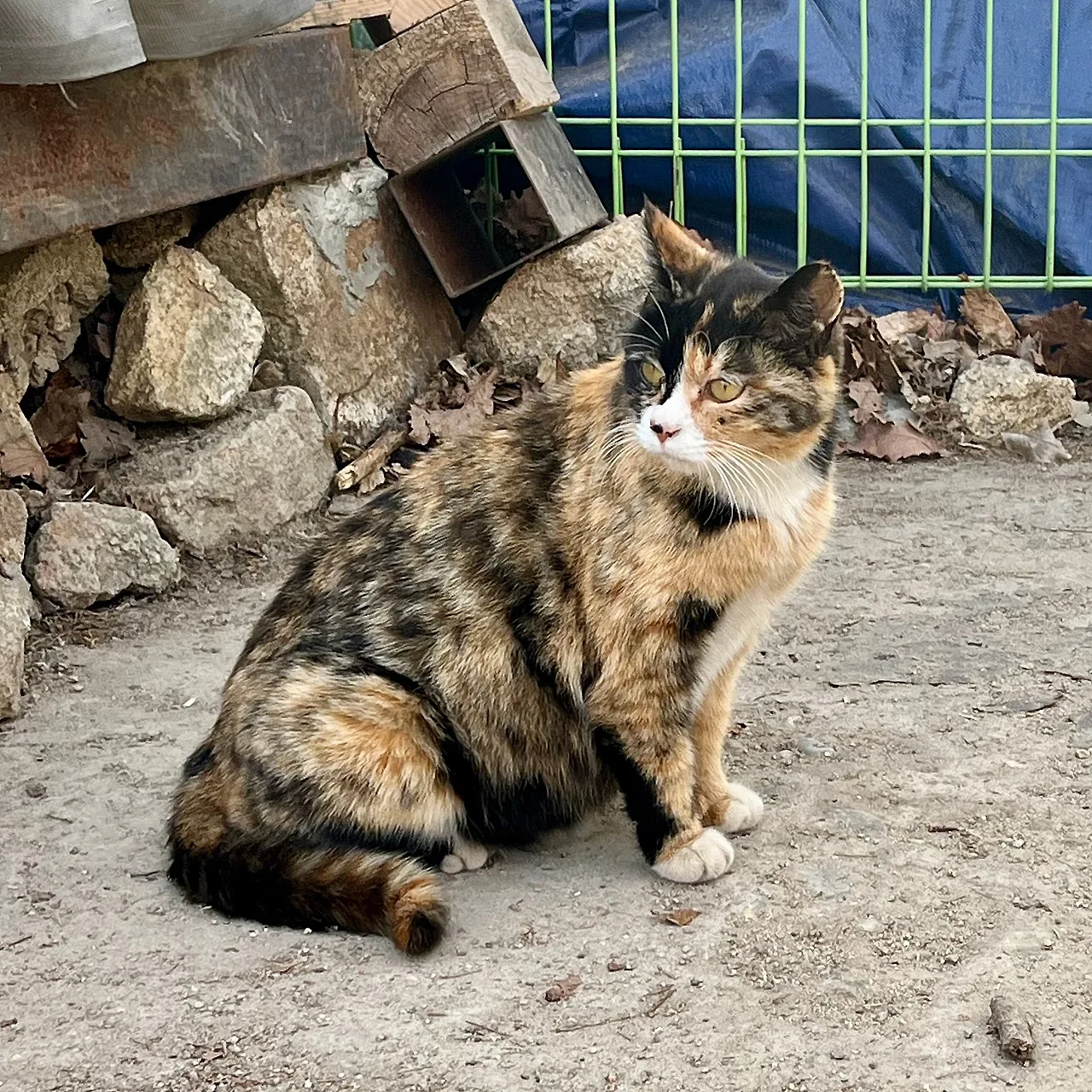 IMG%EF%BC%BF1304.jpg?type=w1600