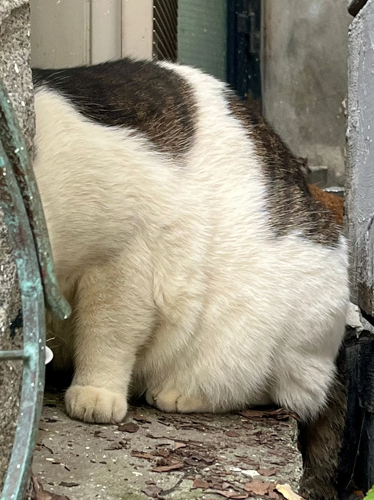 IMG%EF%BC%BF4221.jpg?type=w1600