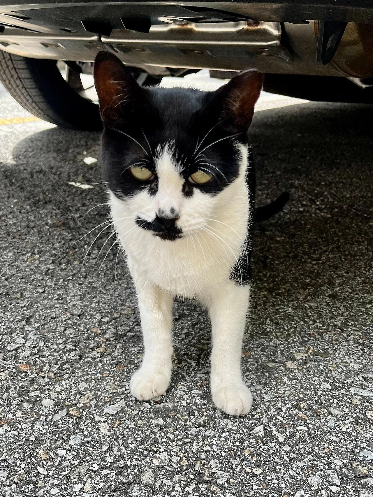 IMG%EF%BC%BF1452.jpg?type=w1600