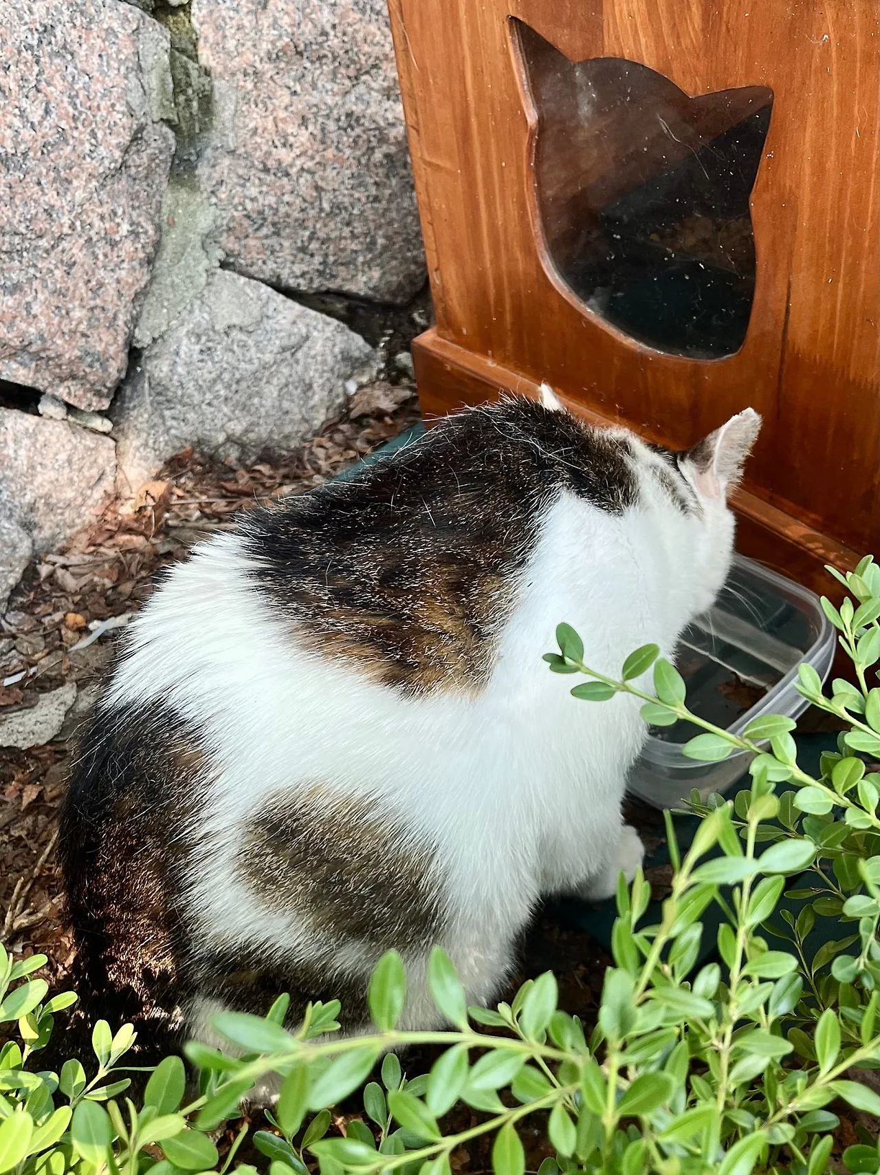 IMG%EF%BC%BF8929.jpg?type=w1600