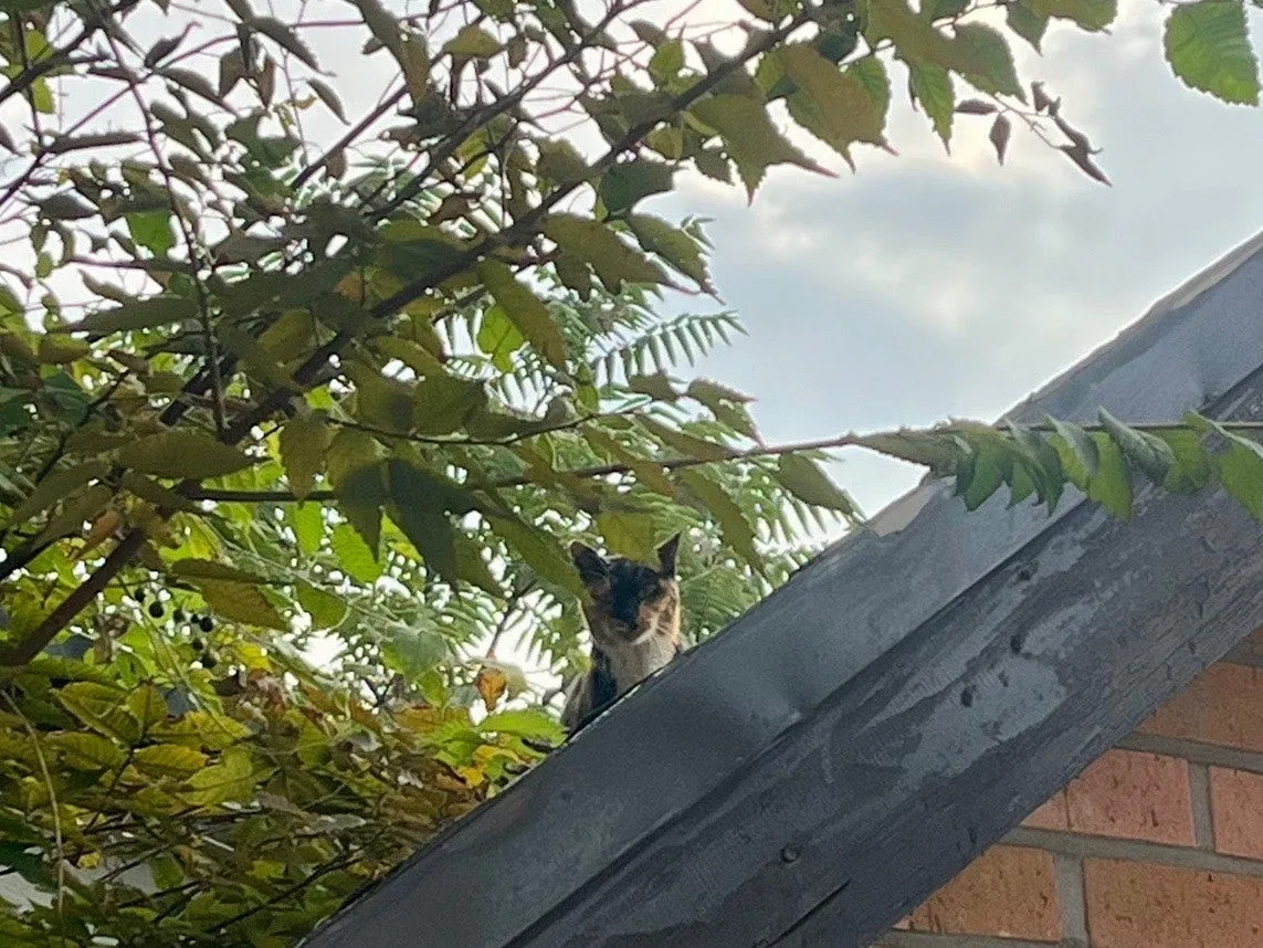 output%EF%BC%BF3405634491.jpg?type=w1600