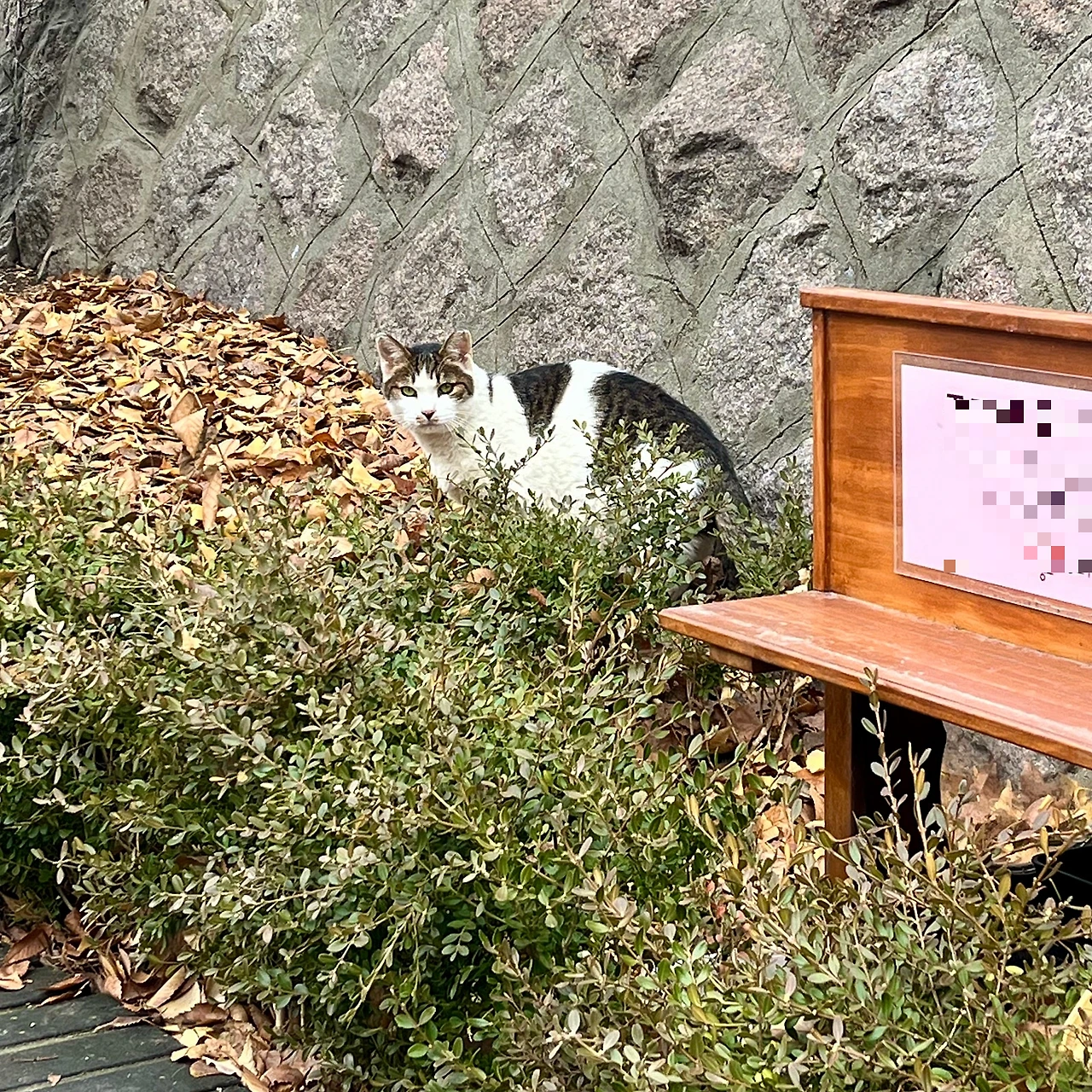 IMG%EF%BC%BF9687.jpg?type=w1600