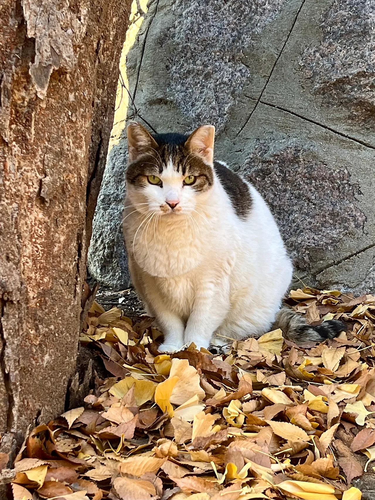 IMG%EF%BC%BF8922.jpg?type=w1600