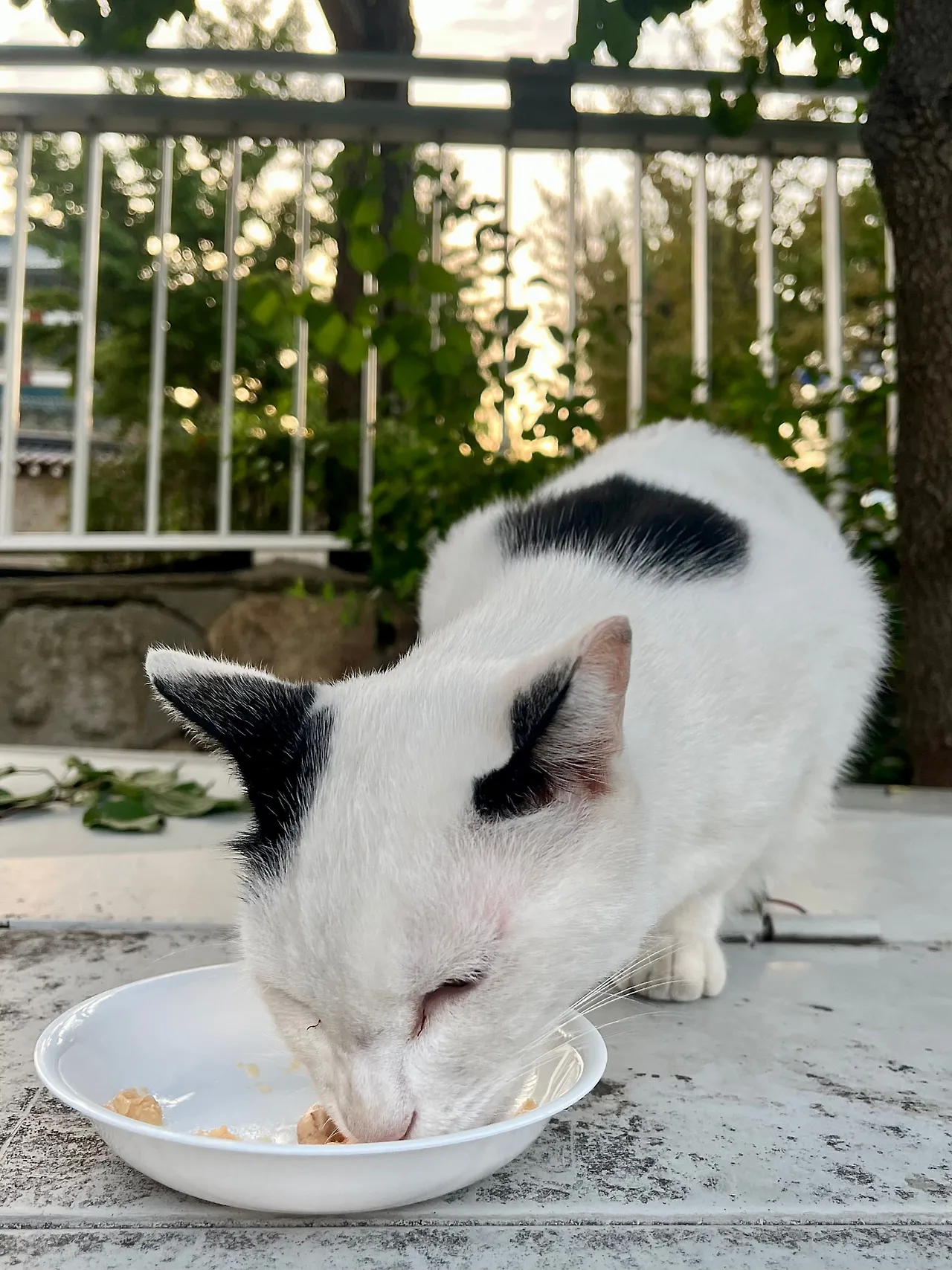 IMG%EF%BC%BF1567.jpg?type=w1600