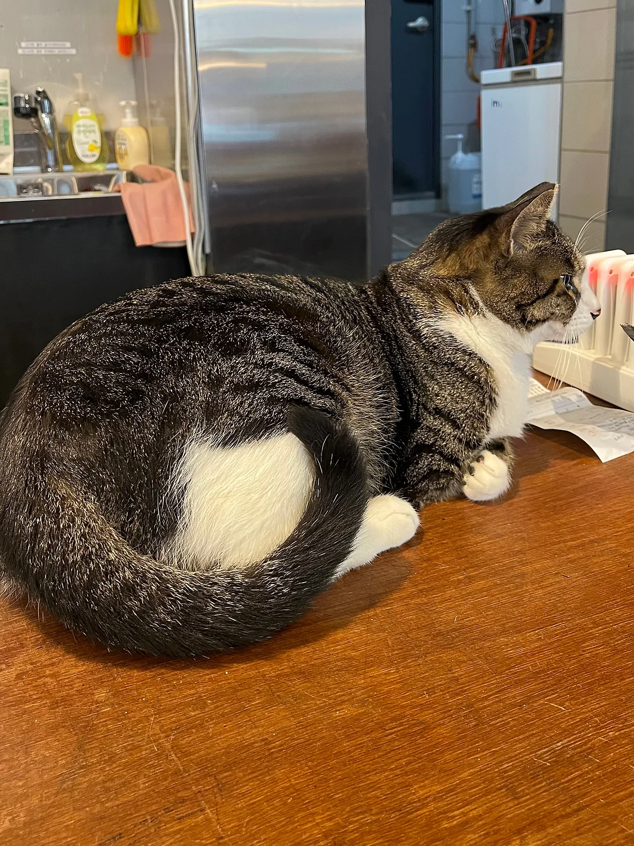 IMG%EF%BC%BF3887.jpg?type=w1600