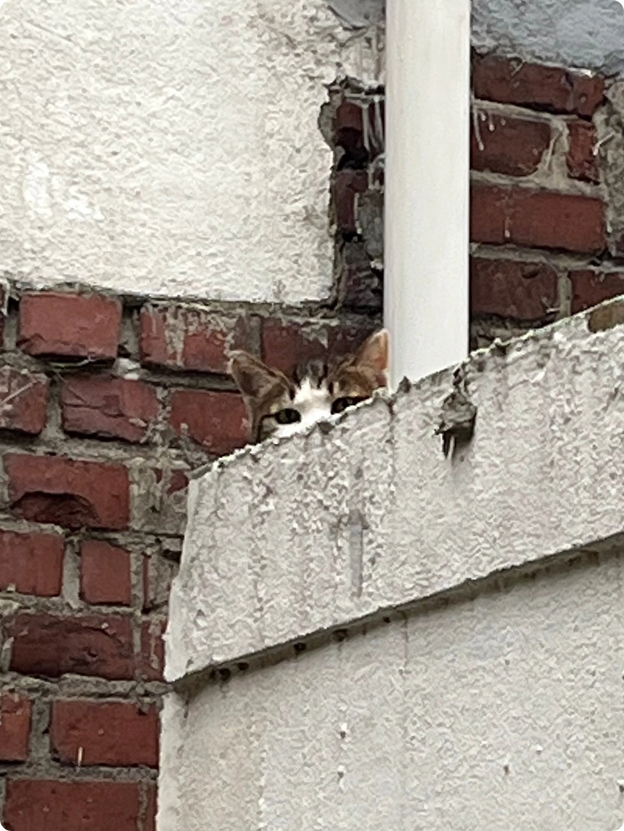 IMG_4657.jpg?type=w1600