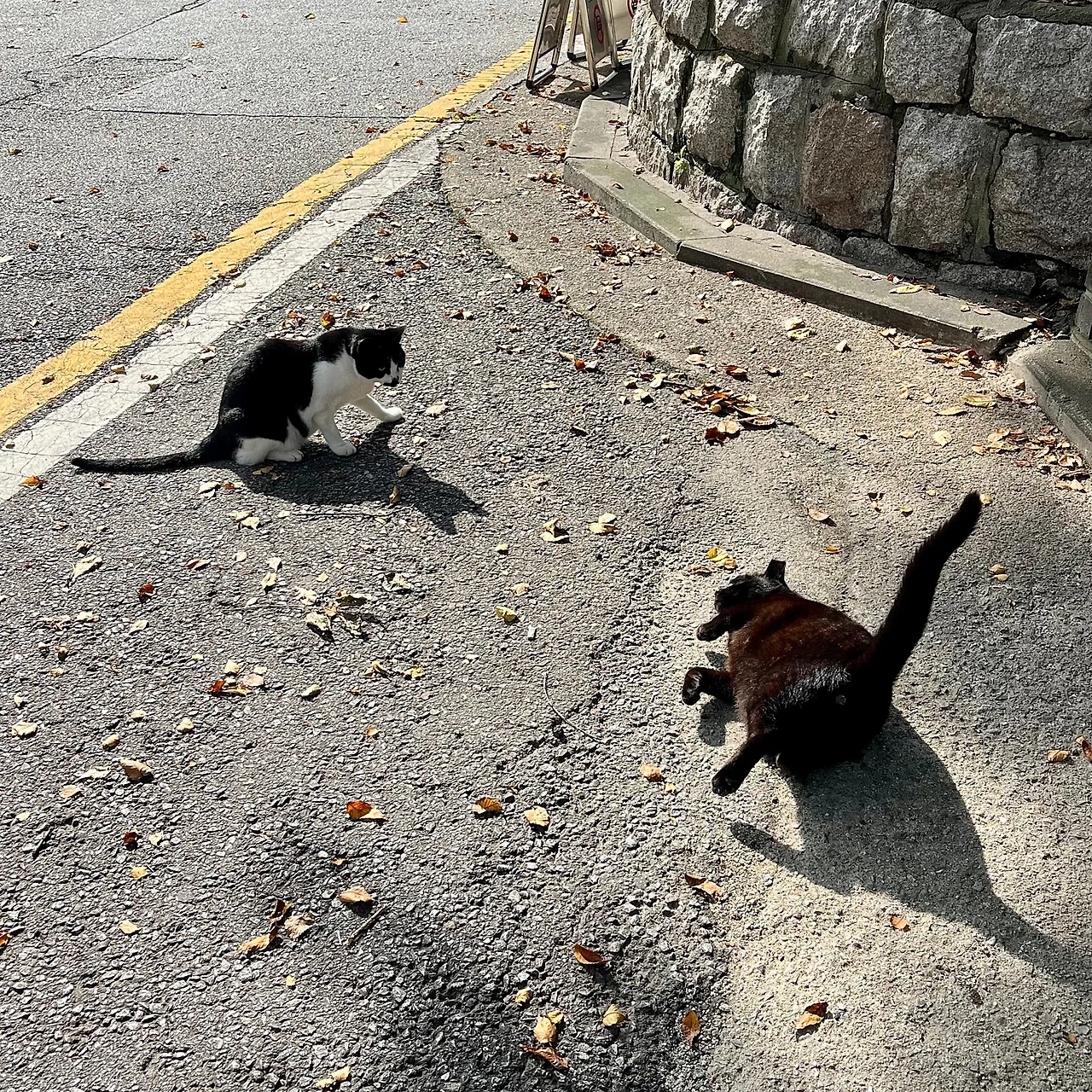 IMG%EF%BC%BF2262.jpg?type=w1600