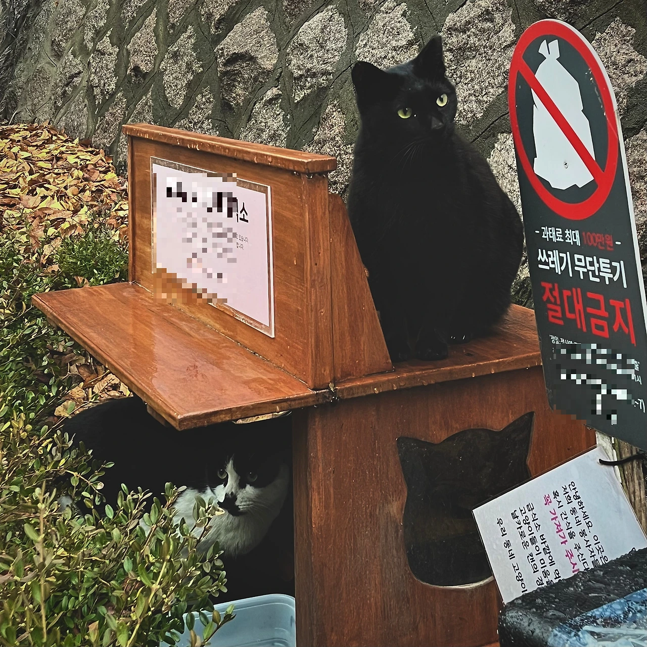 IMG%EF%BC%BF9332.jpg?type=w1600