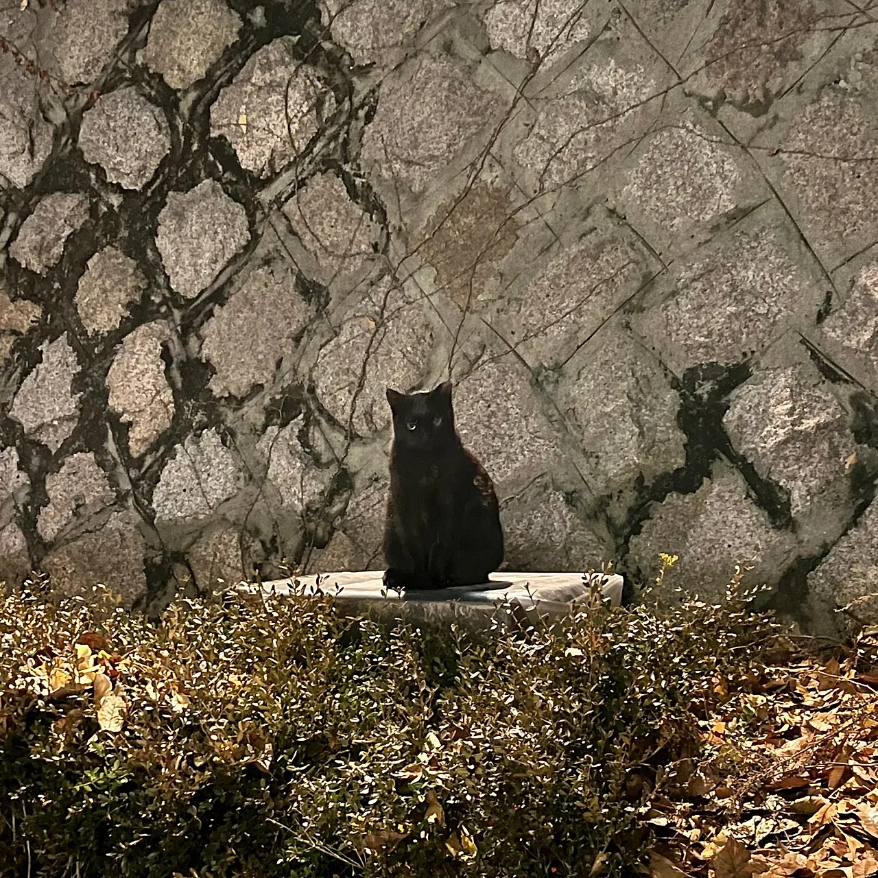 IMG%EF%BC%BF9624.jpg?type=w1600