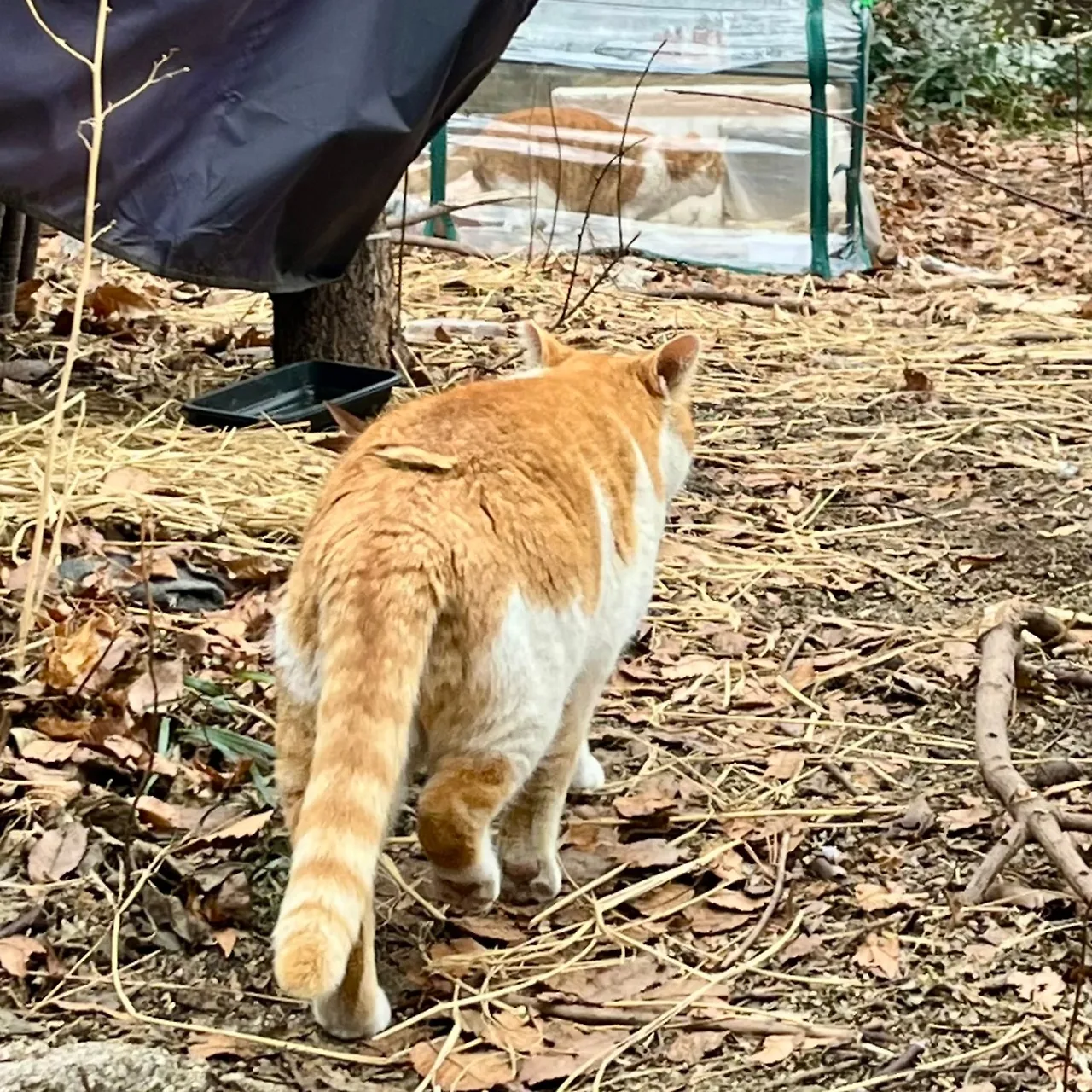 SE-CC738530-AC72-479F-BF38-2AEC46E0BDCE.jpg?type=w1600