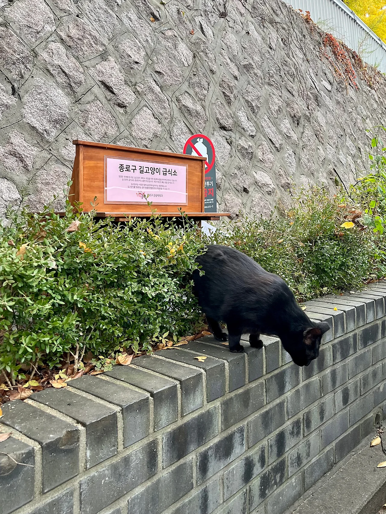 IMG%EF%BC%BF4403.jpg?type=w1600