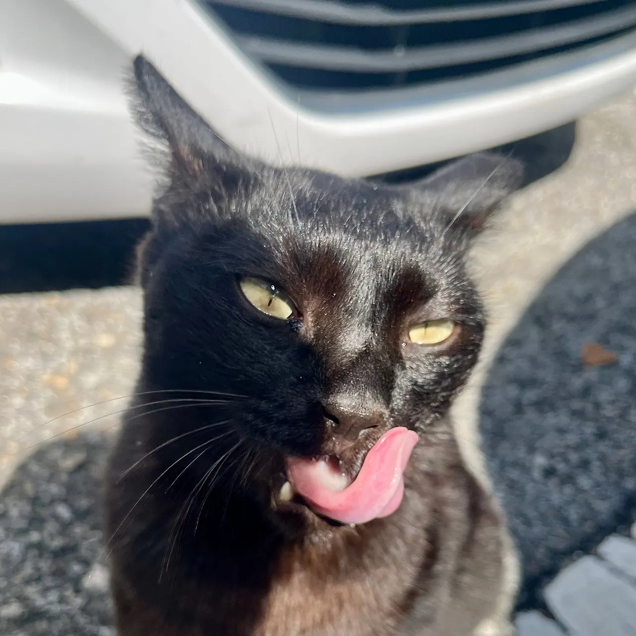 IMG%EF%BC%BF1732.jpg?type=w1600