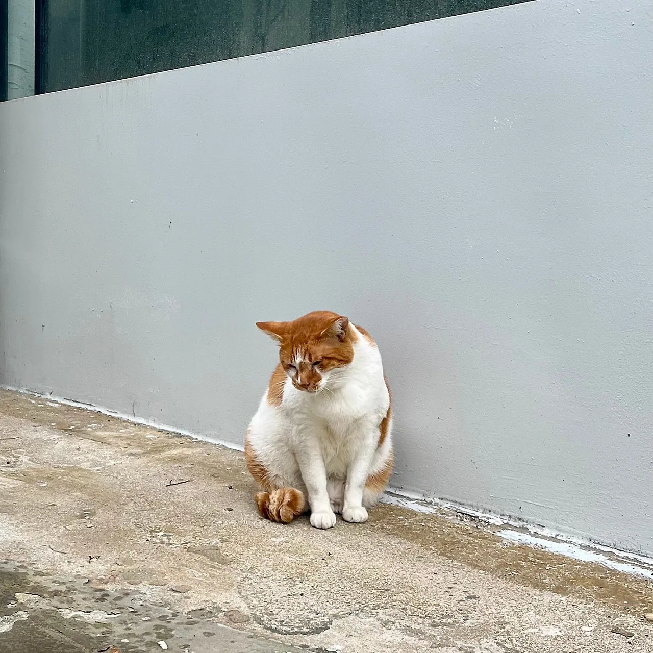 IMG%EF%BC%BF1833.jpg?type=w1600