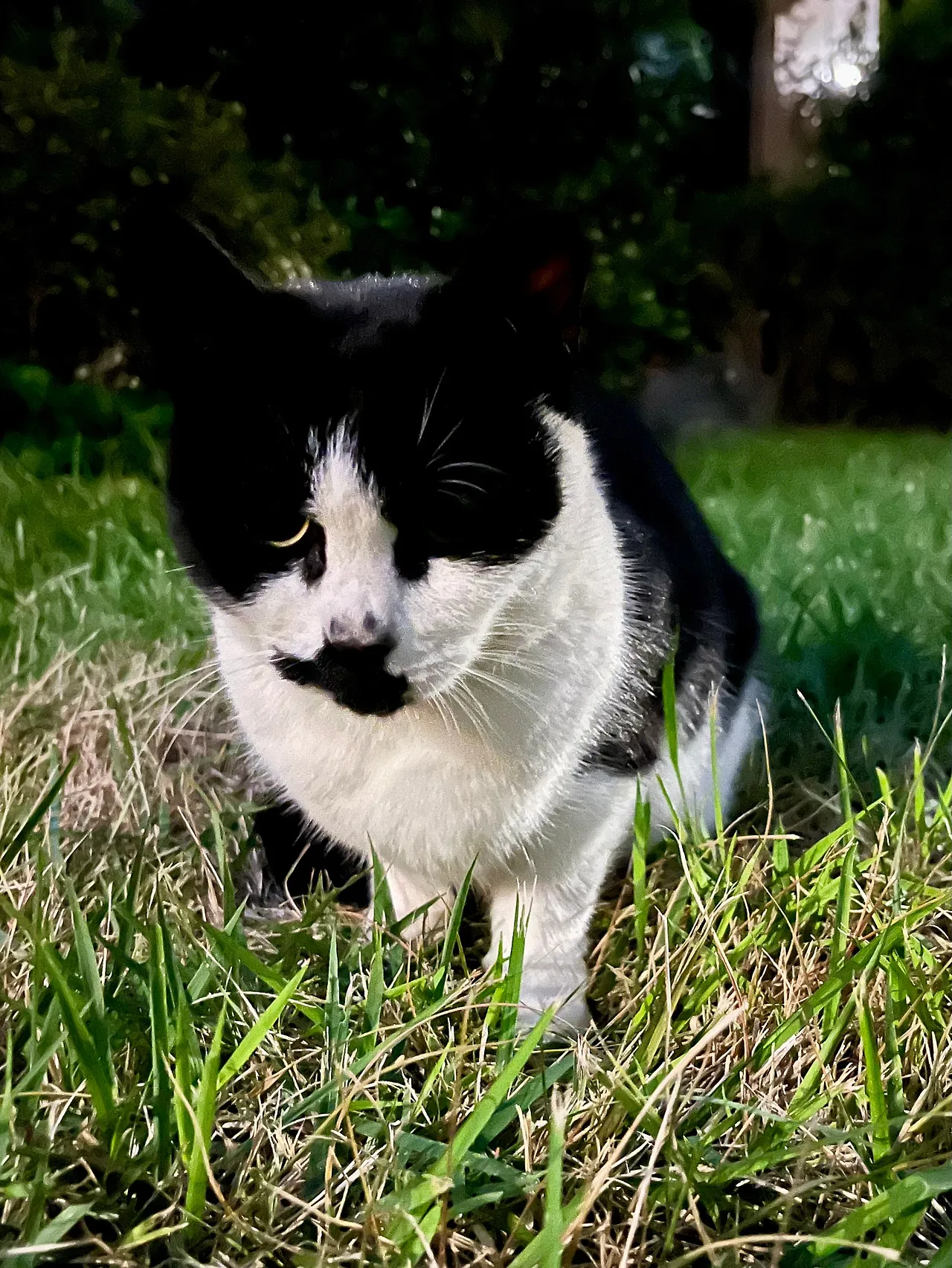 IMG%EF%BC%BF3182.jpg?type=w1600