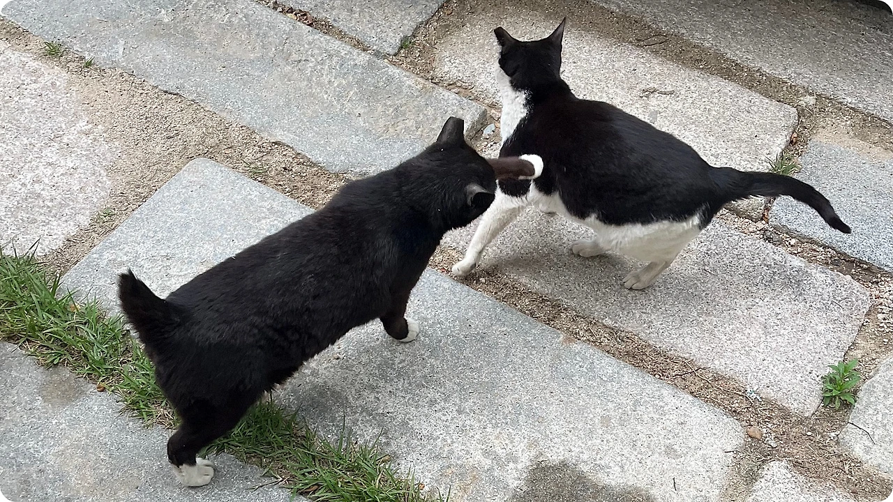 IMG_4655.jpg?type=w1600