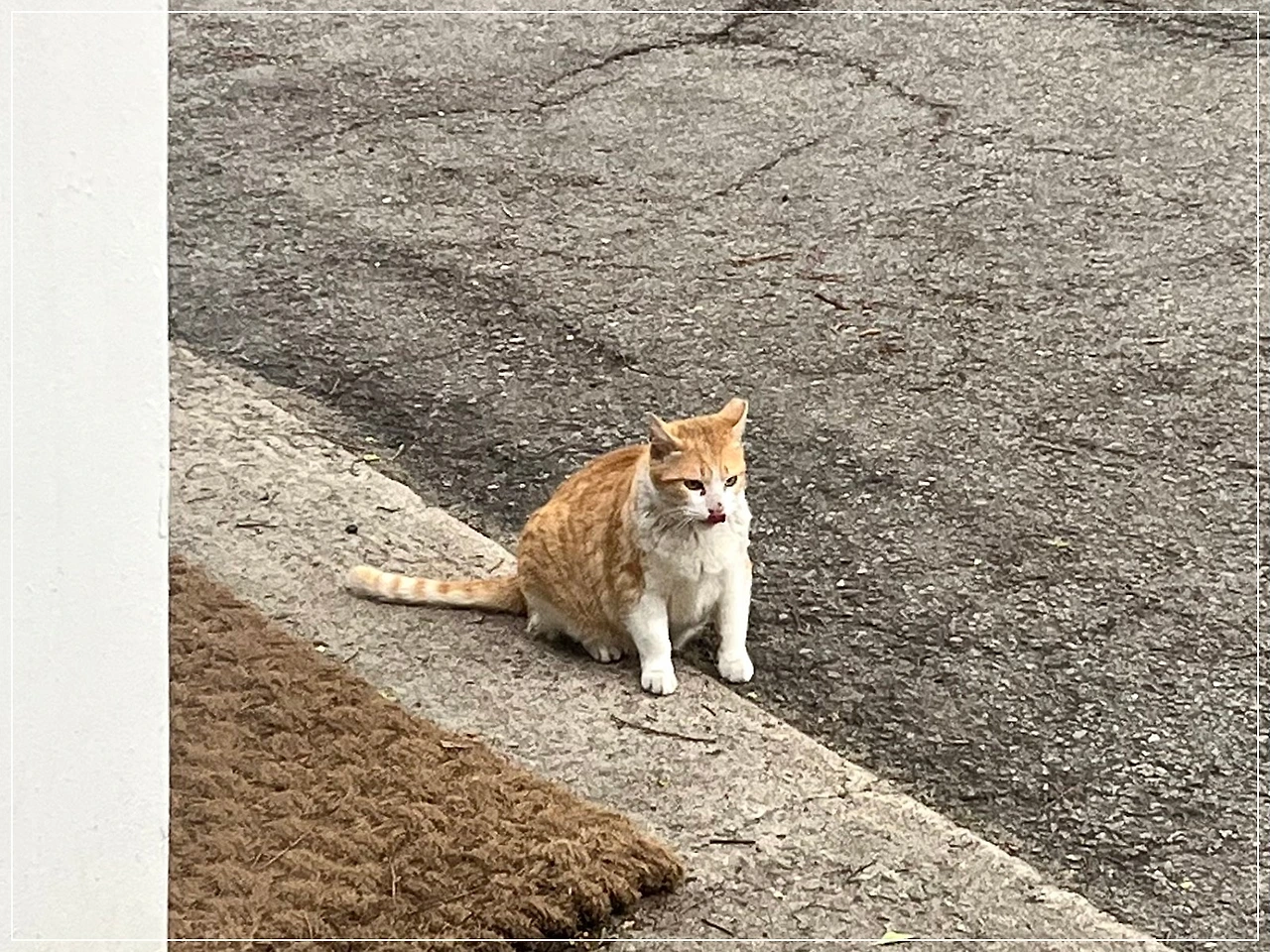 IMG_4217.jpg?type=w1600