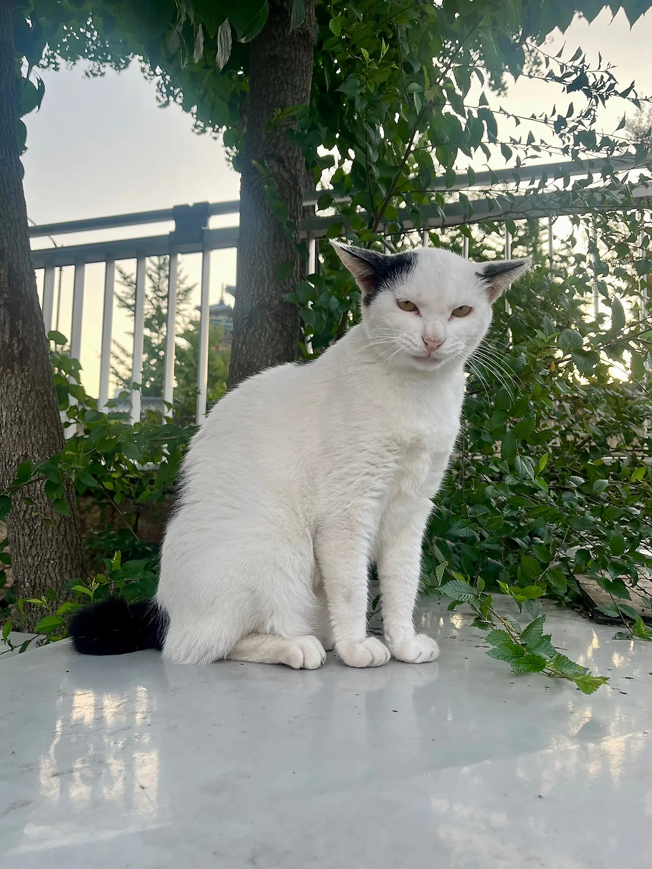 IMG%EF%BC%BF0913.jpg?type=w1600