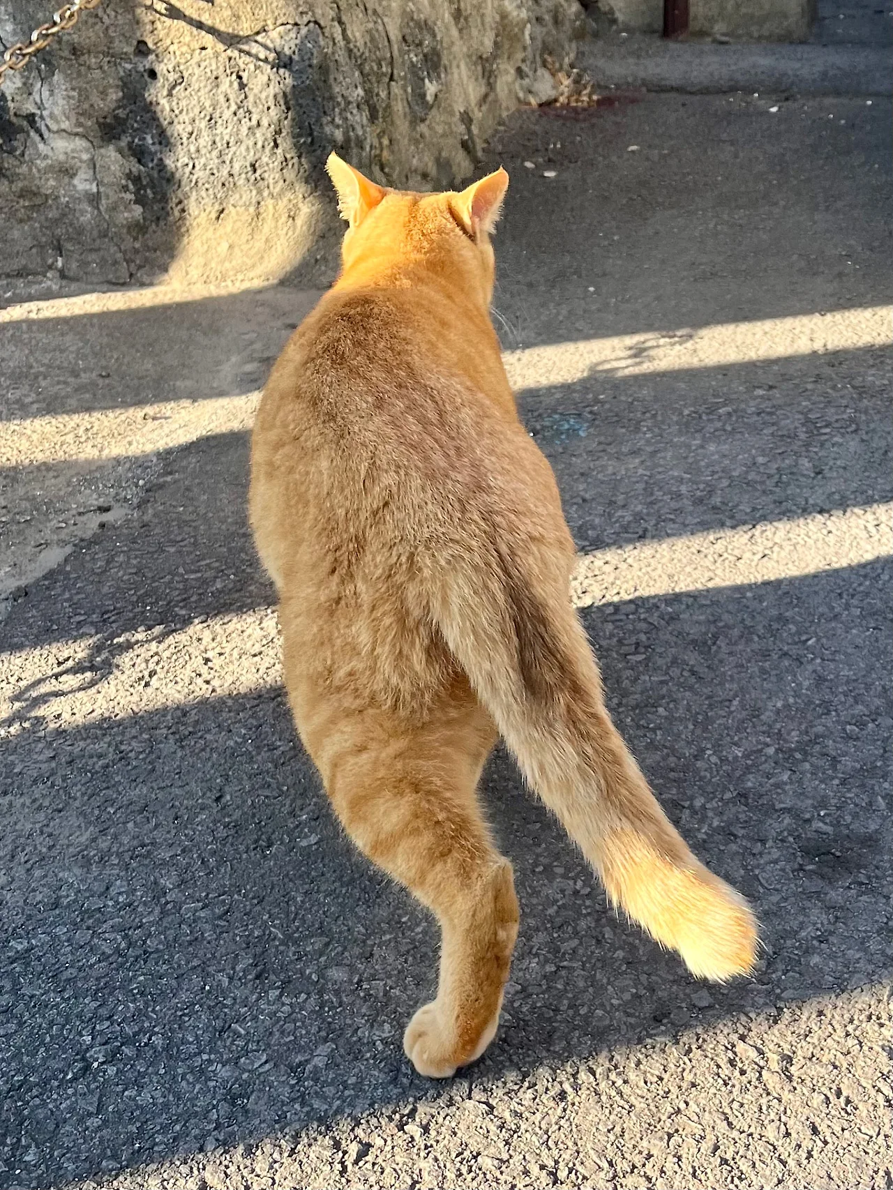 IMG%EF%BC%BF0450.jpg?type=w1600