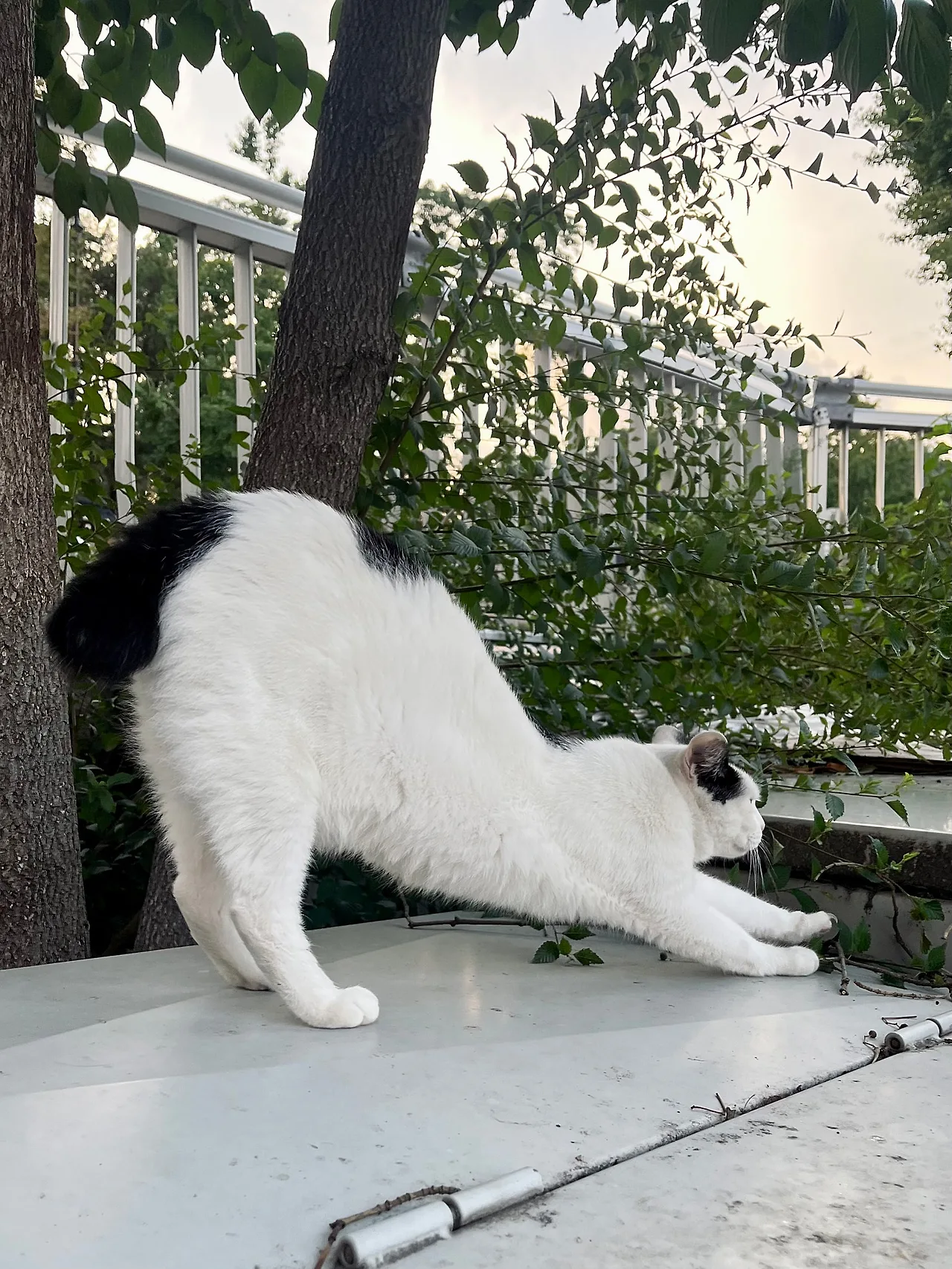 IMG%EF%BC%BF0528.jpg?type=w1600