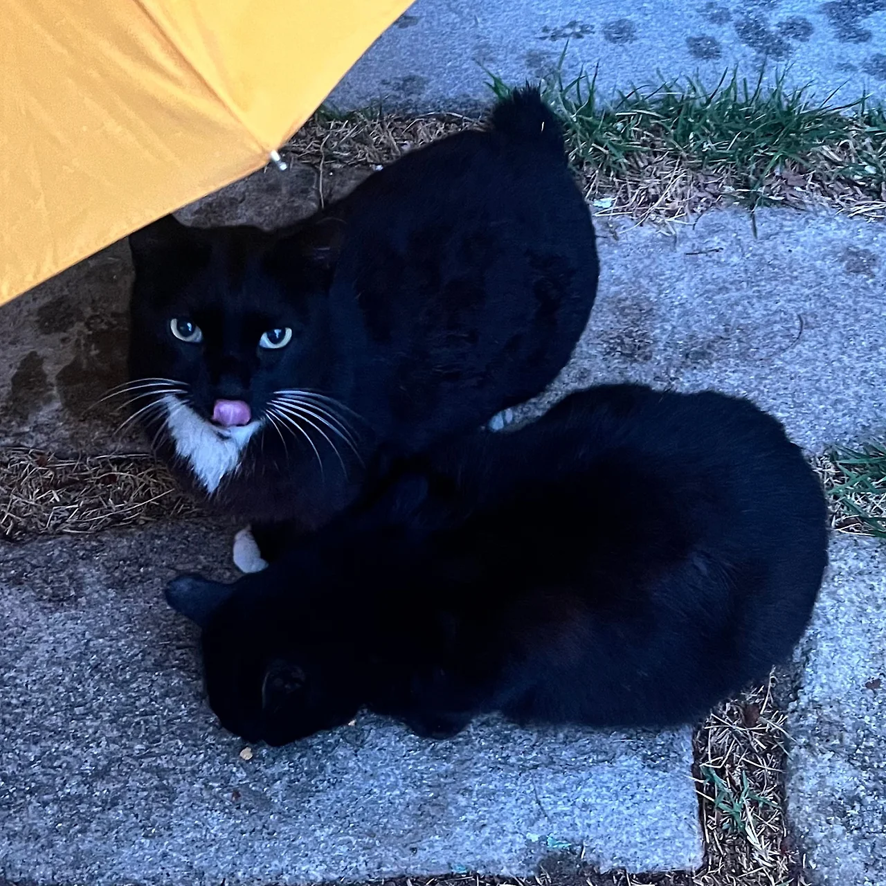 SE-4147CFBF-0C42-4F49-9D44-C75D5D157B52.jpg?type=w1600