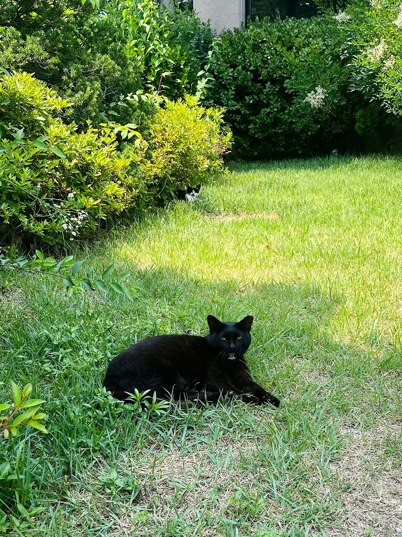 IMG%EF%BC%BF6414.jpg?type=w1600