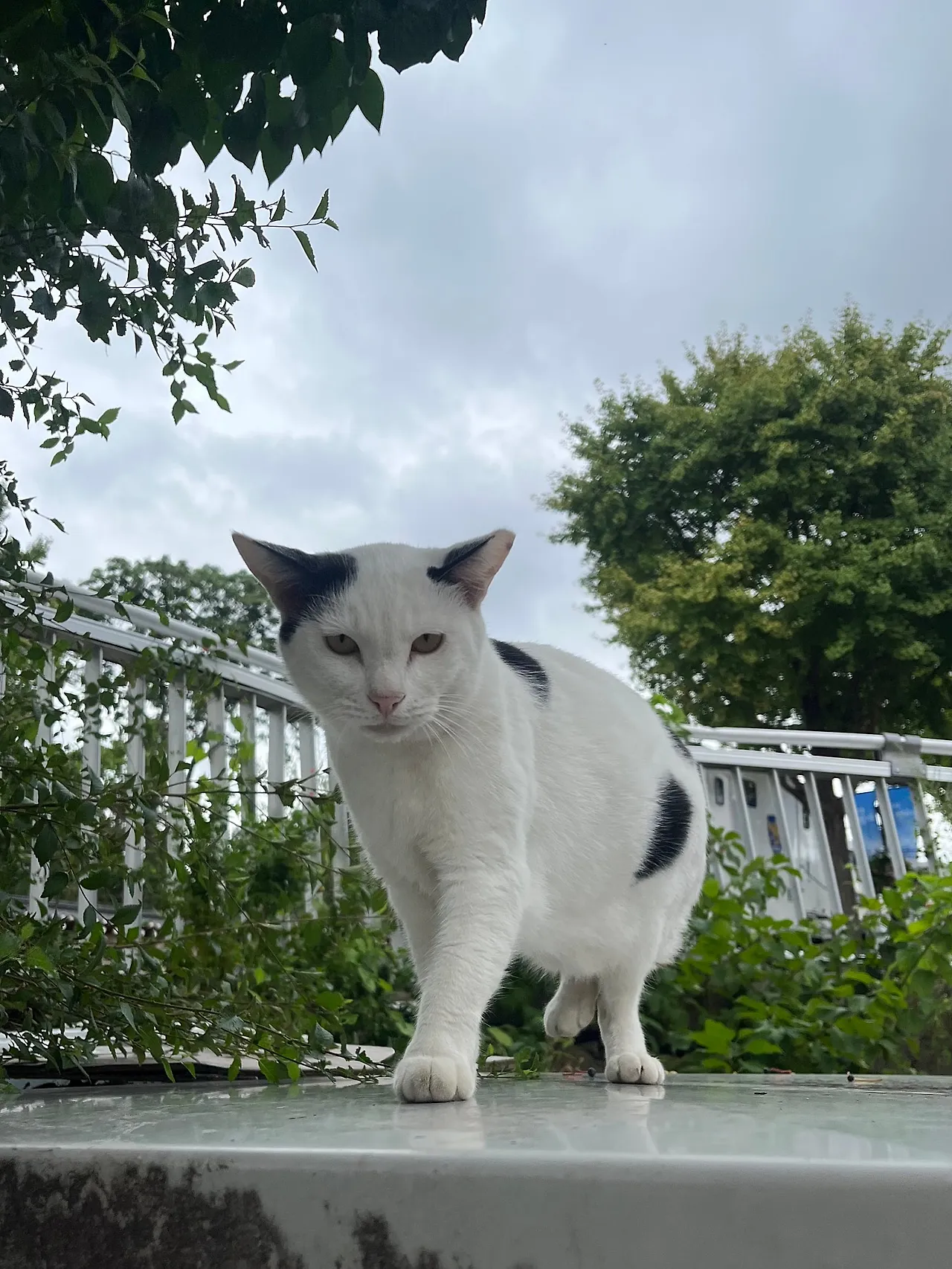 IMG%EF%BC%BF1760.jpg?type=w1600