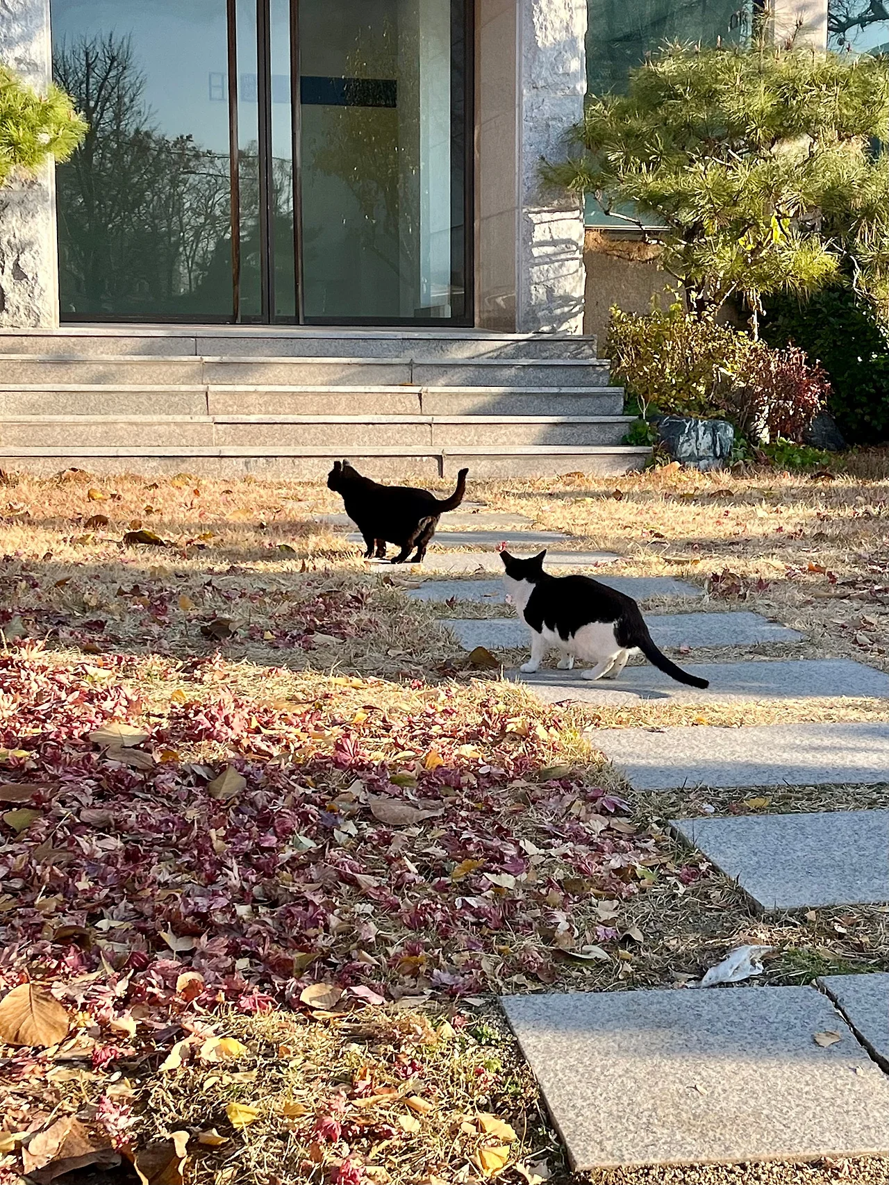 IMG%EF%BC%BF8554.jpg?type=w1600