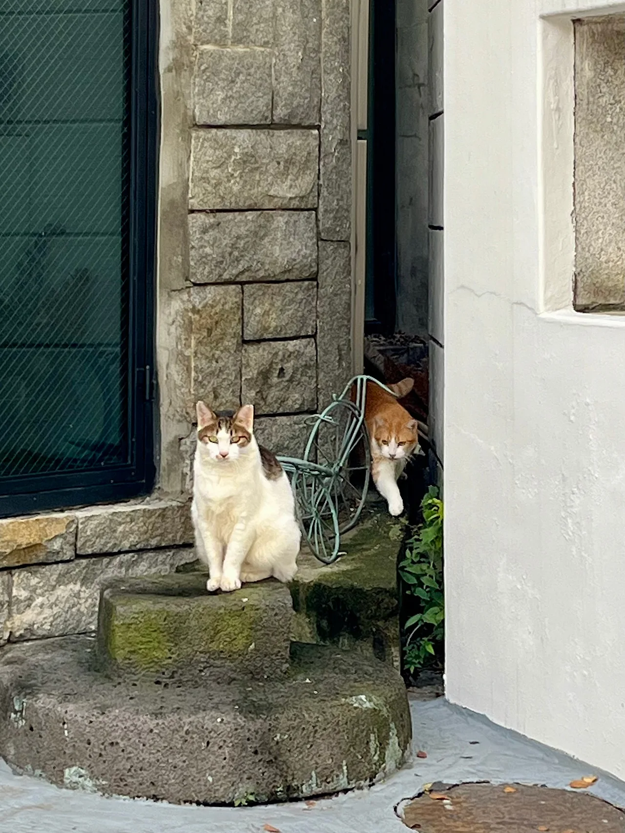 IMG%EF%BC%BF2286.jpg?type=w1600