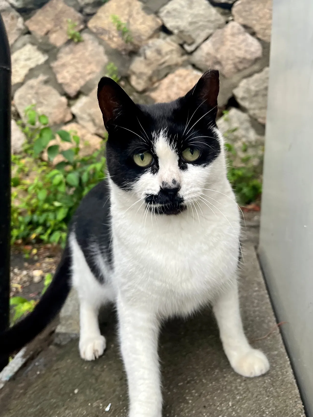 IMG%EF%BC%BF1651.jpg?type=w1600