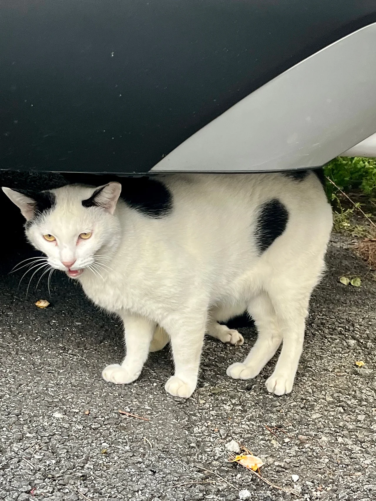 IMG%EF%BC%BF1891.jpg?type=w1600