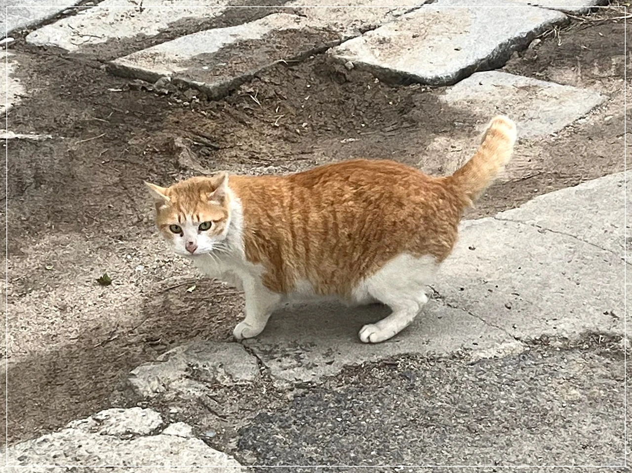 IMG_4208.jpg?type=w1600