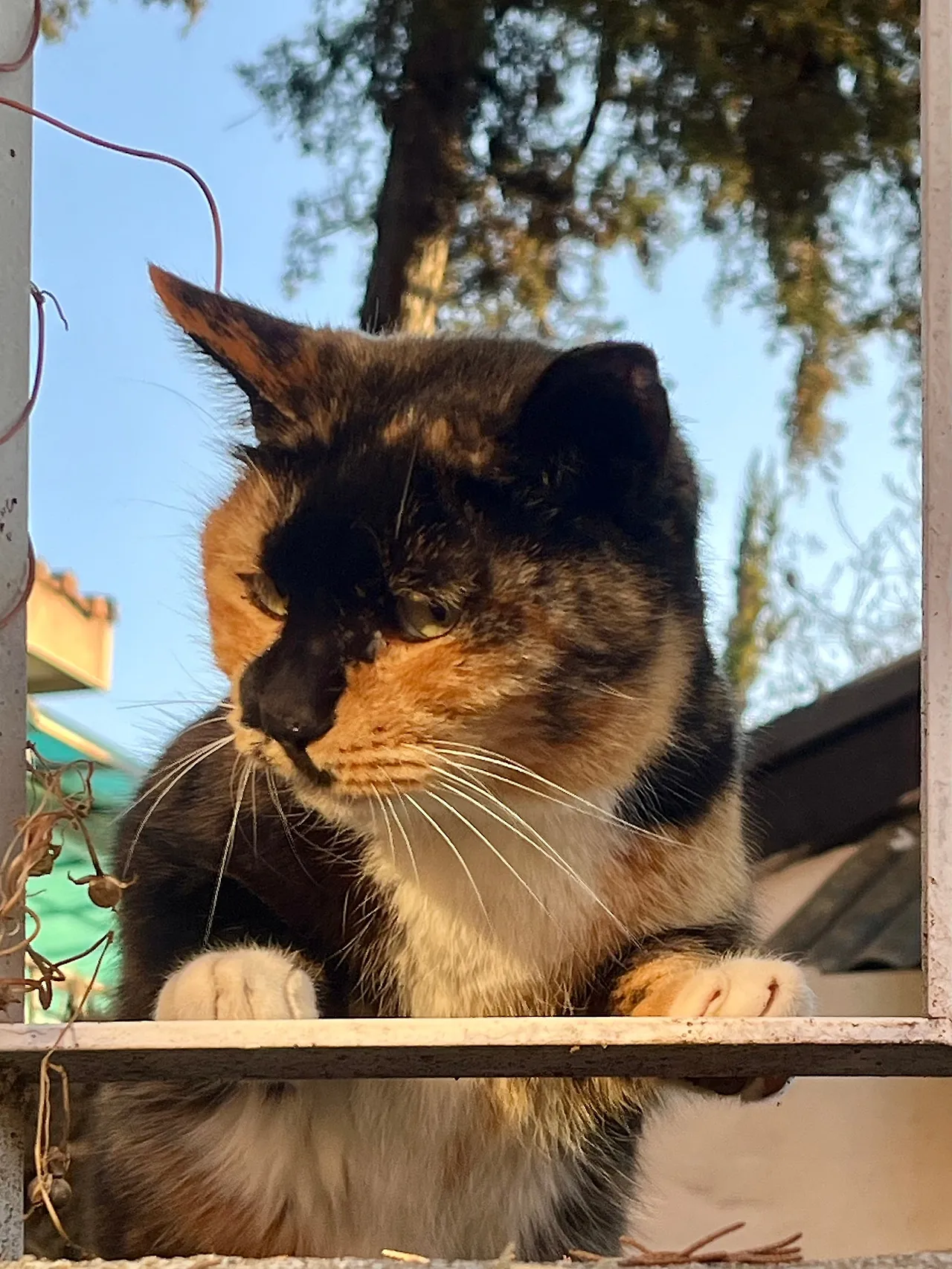 IMG%EF%BC%BF9119.jpg?type=w1600