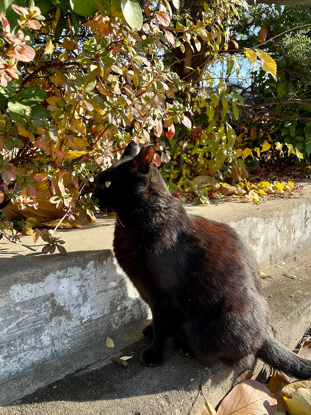 IMG%EF%BC%BF8632.jpg?type=w1600