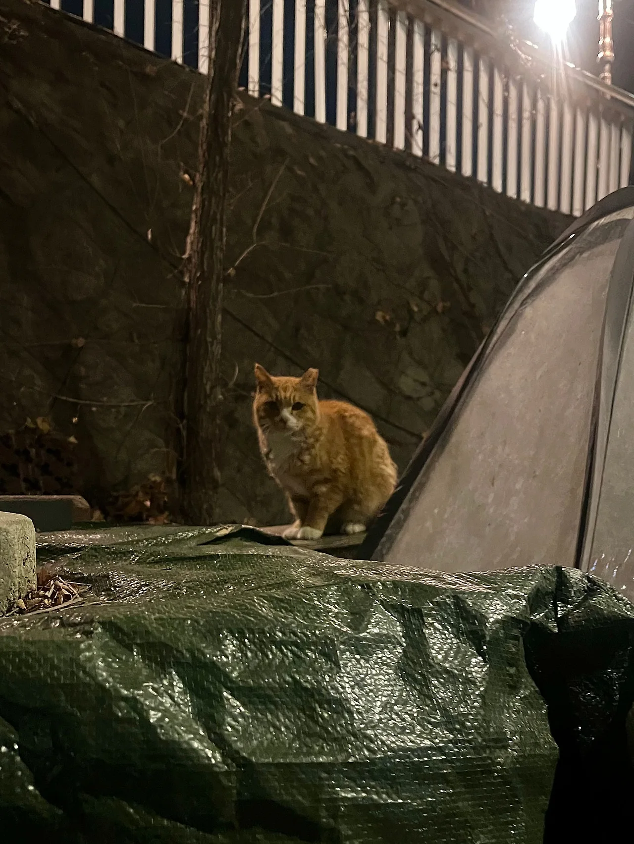 IMG%EF%BC%BF9749.jpg?type=w1600