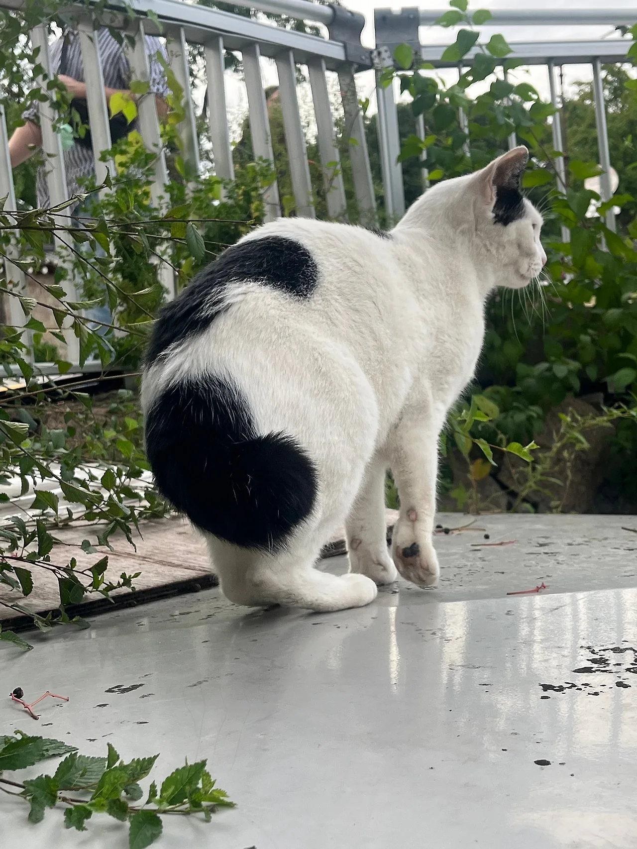 IMG%EF%BC%BF1991.jpg?type=w1600