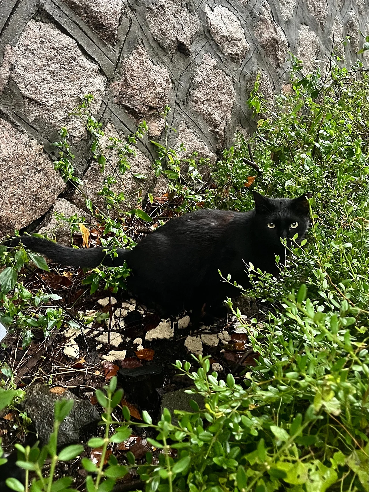 IMG%EF%BC%BF2051.jpg?type=w1600