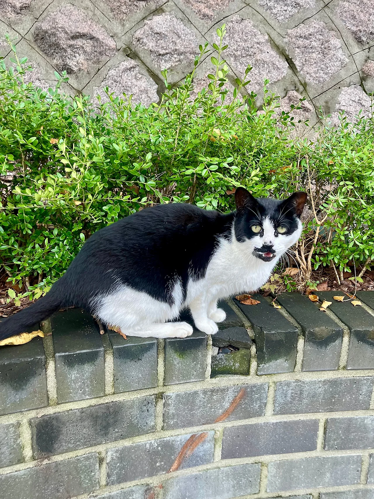 IMG%EF%BC%BF2300.jpg?type=w1600