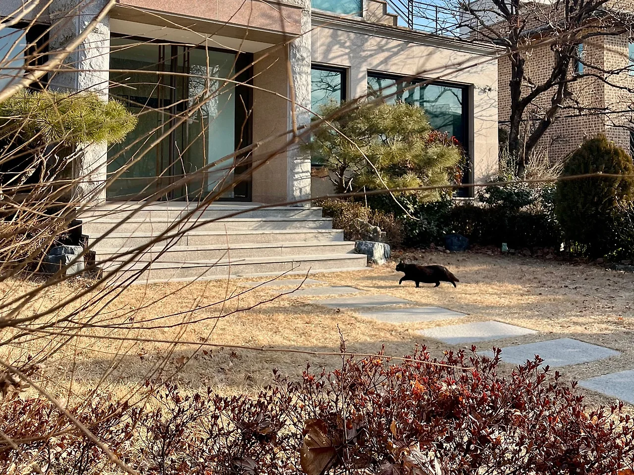 SE-0287B2F2-CC7A-4555-8C6D-A014119945AA.jpg?type=w1600