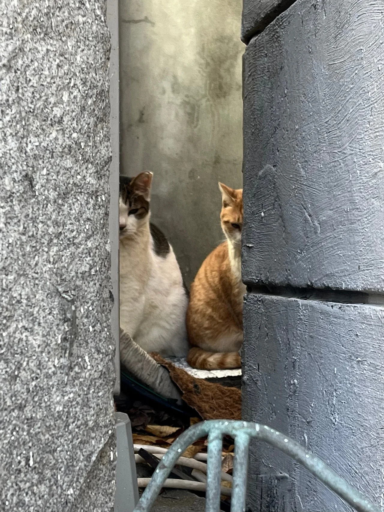 IMG%EF%BC%BF5270.jpg?type=w1600