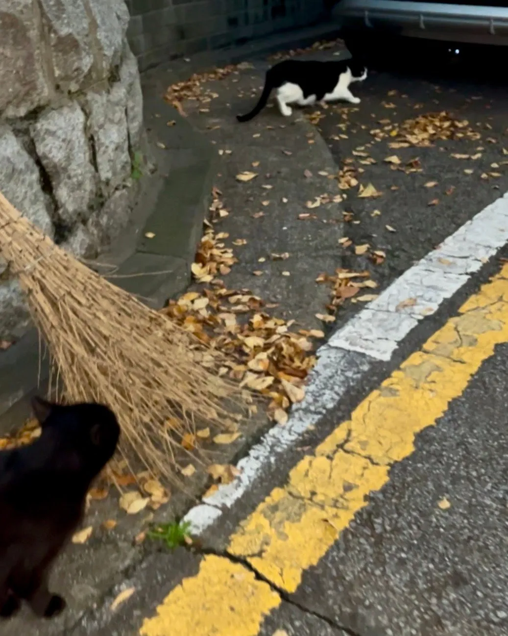 IMG%EF%BC%BF3546.jpg?type=w1600