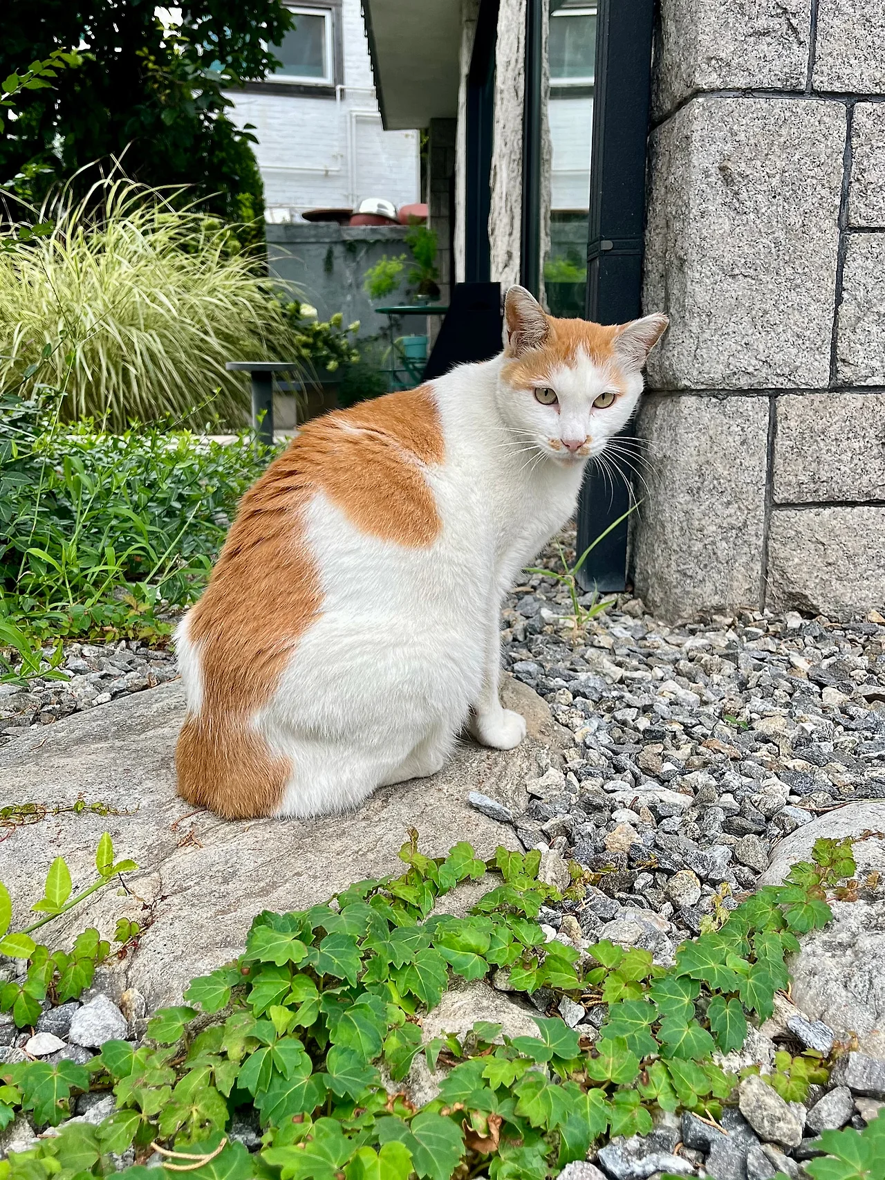 IMG%EF%BC%BF1139.jpg?type=w1600