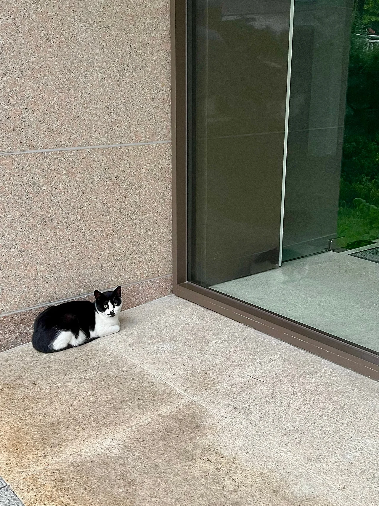 IMG%EF%BC%BF0830.jpg?type=w1600