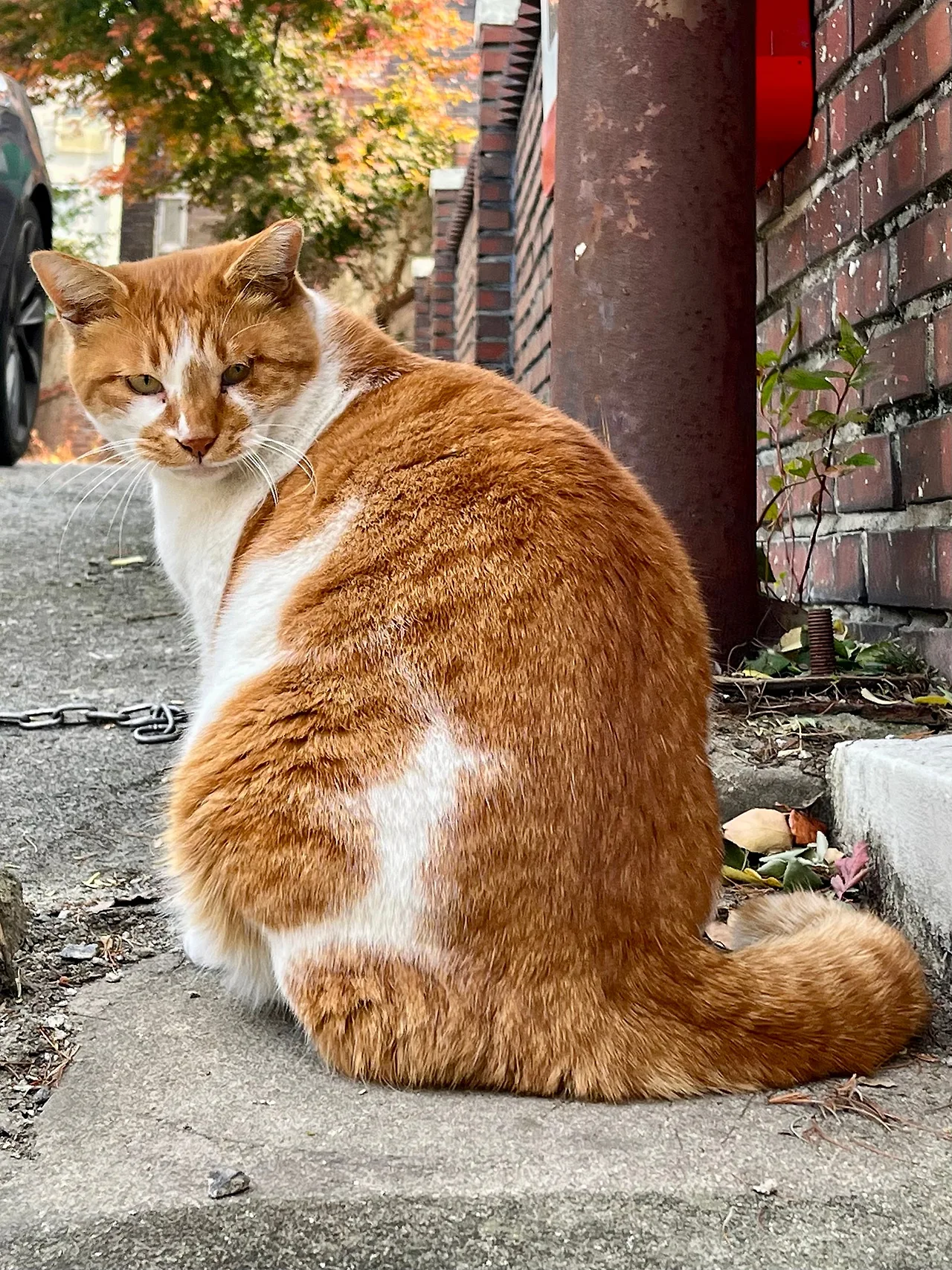 IMG%EF%BC%BF5041.jpg?type=w1600